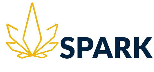 spark logo 2