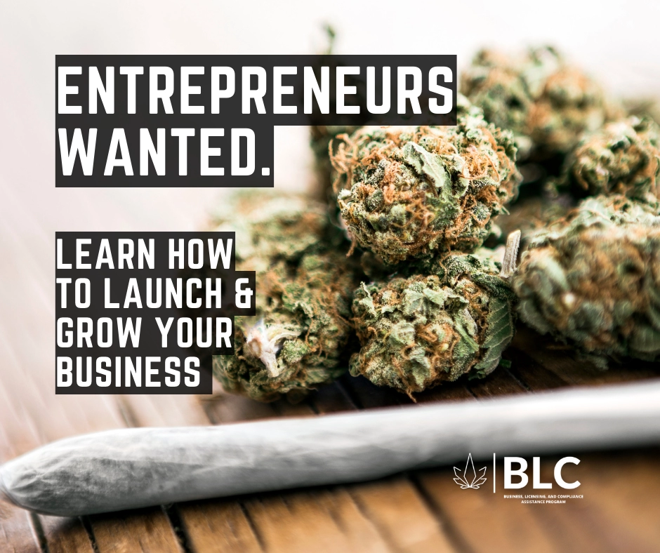 Entrepeneurs Wanted: Learn How to Launch and Grow Your Business