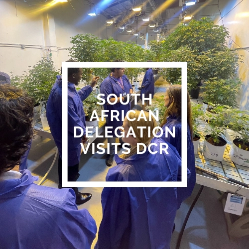 South African Delegation Visits DCR